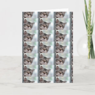 CARTÃO TODOS OS OLHOS ESTÃO NO ANIVERSÁRIO FELIZ DIZ GATI