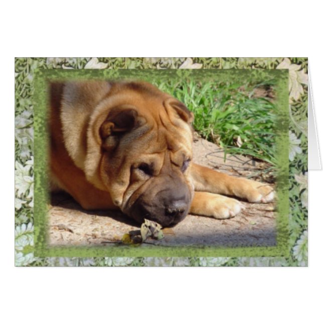 Cartão Todos que eu tenho são memórias (Frente Horizontal)