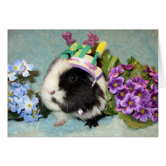 Cartão Todos se vestiram acima (Frente Horizontal)