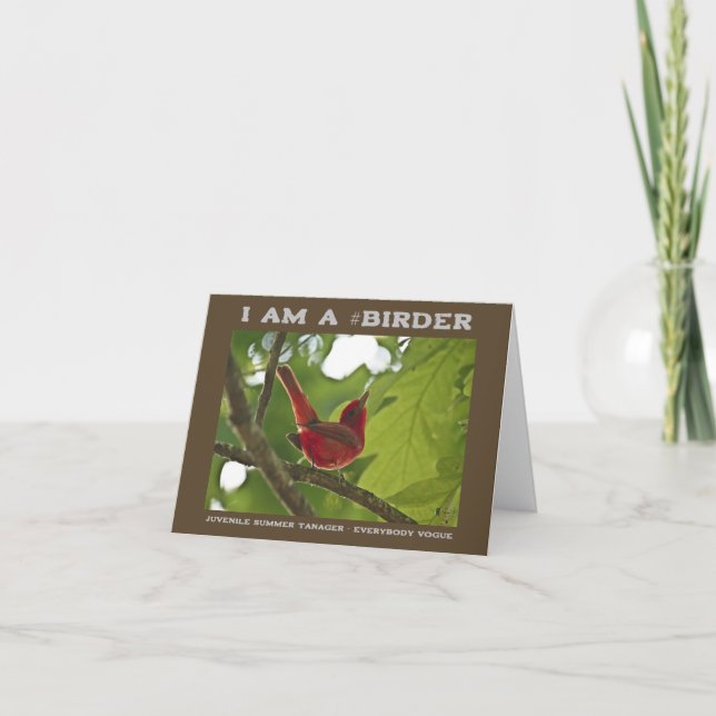Cartão Todos Vogue Juvenile Summer Tanager Birder (Frente)