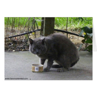 Cartão Tom Cat sem teto