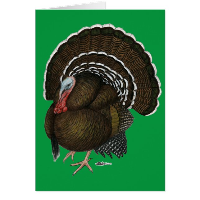 Cartão Tom de Bronze de Turquia (Frente)