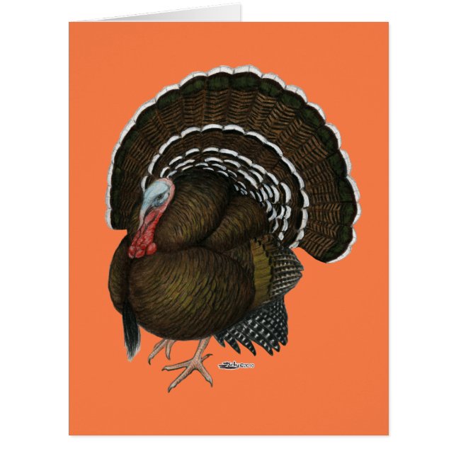 Cartão Tom de Bronze de Turquia (Frente)