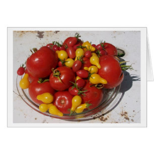 Cartão Tomates do ~ da coleção do jardim da luz do sol