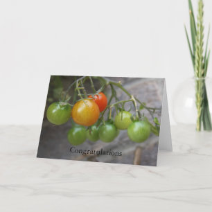 Cartão Tomato Plant Congratulations Card