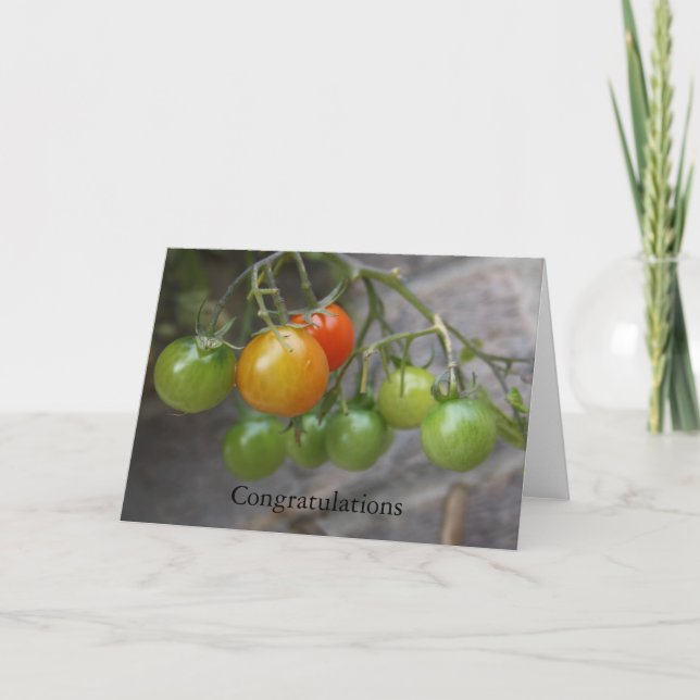 Cartão Tomato Plant  Congratulations Card (Frente)
