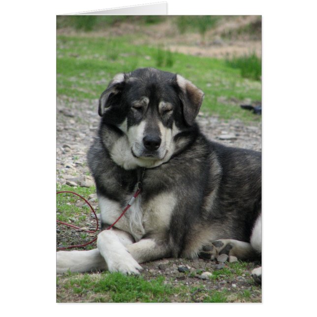 Cartão Tome-o fácil! (Frente)