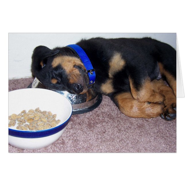 Cartão tonto. (Frente Horizontal)