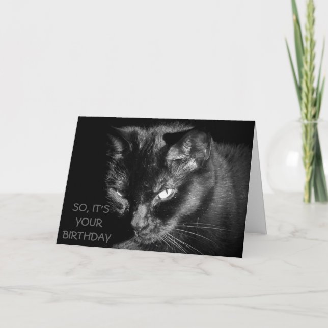 Cartão Too Old to Feed The Cat? (Frente)