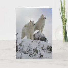 Cartão "Top Of The World" Greeting Card