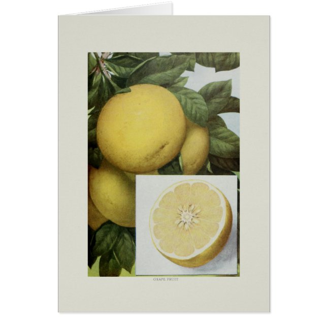 Cartão Toranja (Frente)