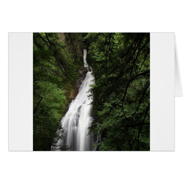 Cartão Torror de Fluxo Branco da Cama (Frente Horizontal)