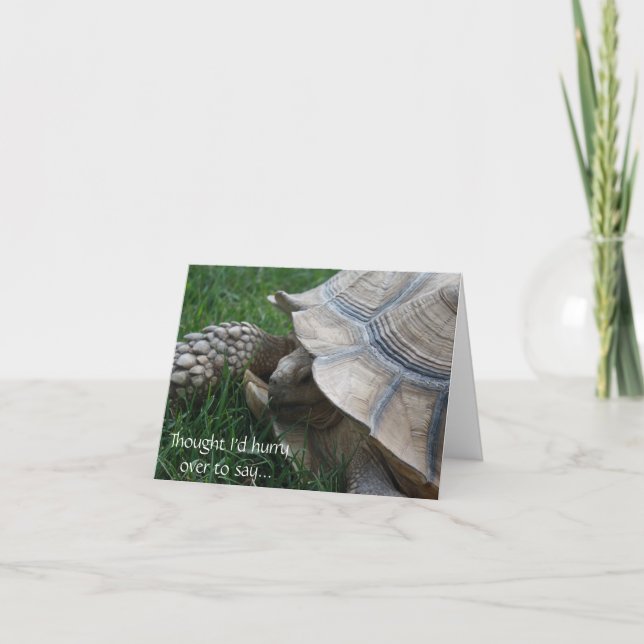 Cartão Tortoise Hurry Birthday Card (Frente)