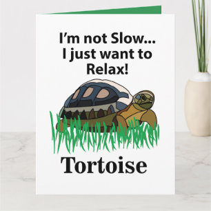 Cartão Tortoise Relaxe Animal Bonito Aniversário Engraçad