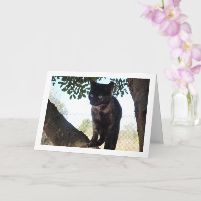 Cartão Tortoisinferno Kitten em árvore (Orquídea)