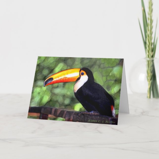 Cartão 'Toucan' (Frente)