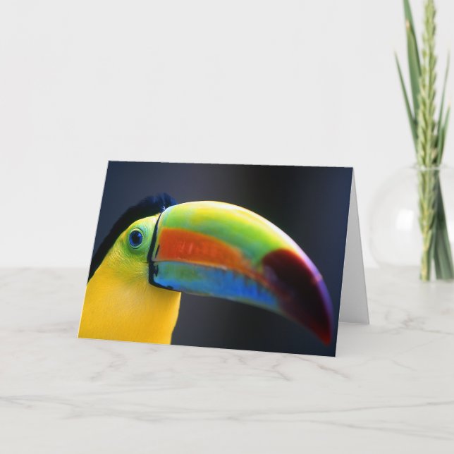 Cartão Toucan-Greeting card (Frente)