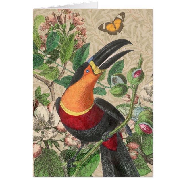 Cartão Toucan Jungle Tropical Bird Beauful Antiguidade (Frente)