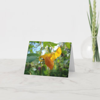 Cartão Touch-Me-Not Orange Wildflower