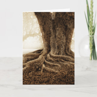 Cartão Touching_Earth_MW1104