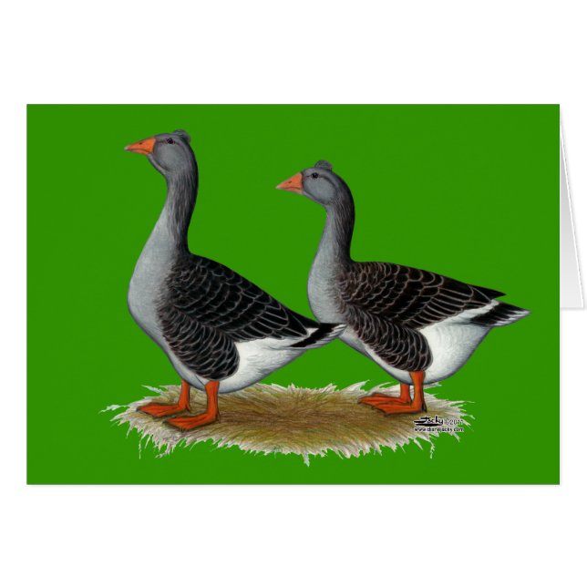 Cartão Toulouse Geese Tufted (Frente horizontal)