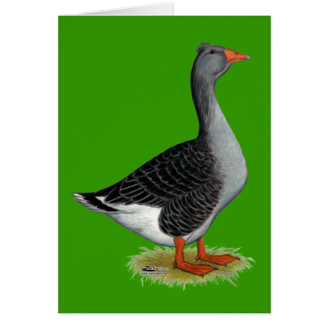 Cartão Toulouse Goose Tufted (Frente)