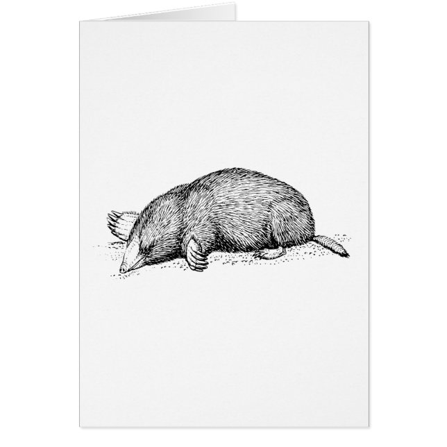 Cartão Toupeira (Frente)