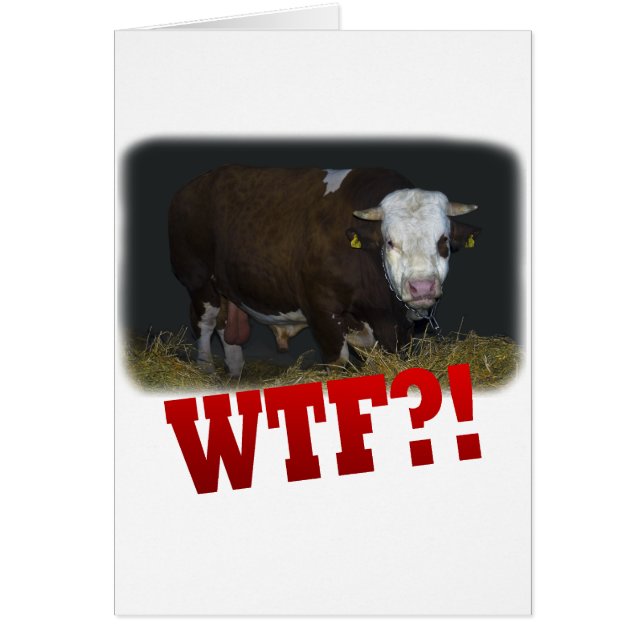 Cartão touro (Frente)