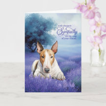 Touro Bull Terrier de simpatia pet Sereno Lavanda