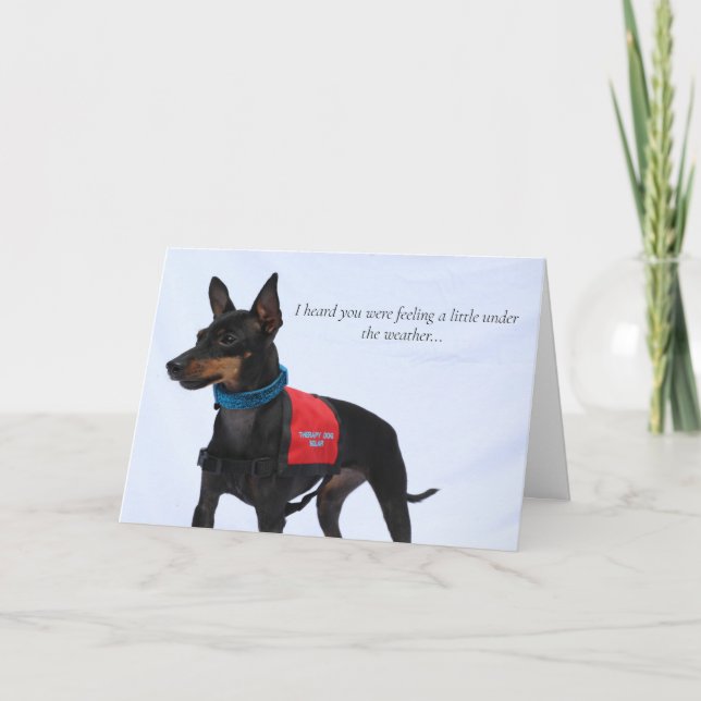 Cartão Toy Manchester Terrier Get Well Card (Frente)