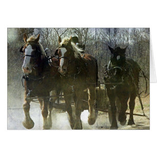 Cartão Trabalhando com os projetos da Amish