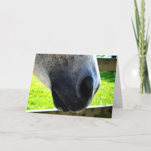 Cartão Trabalho de Nariz