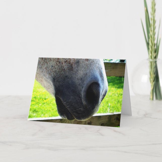 Cartão Trabalho de Nariz (Frente)