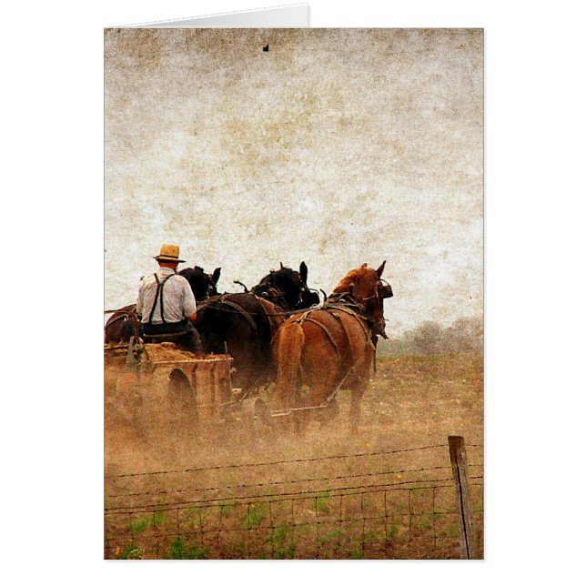 Cartão Trabalho no Campo Alimentado com Cavalos (Frente)