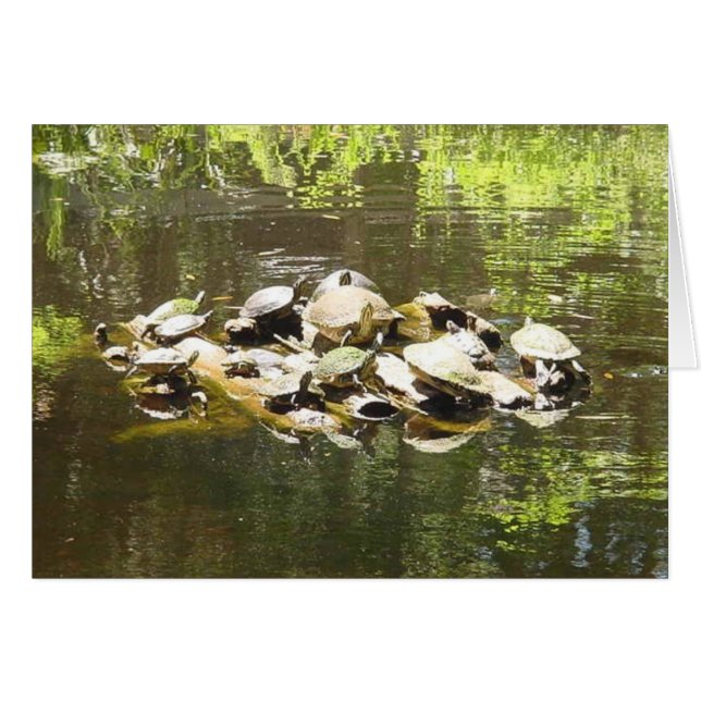 Cartão trabalhos em rede da tartaruga (Frente Horizontal)