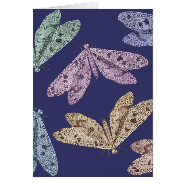 Cartão Traças da noite em vôo do Encylopedia de Diderot (Frente)