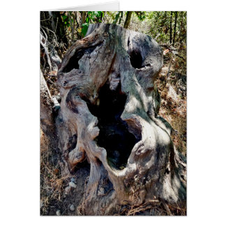 Cartão Traço de árvore