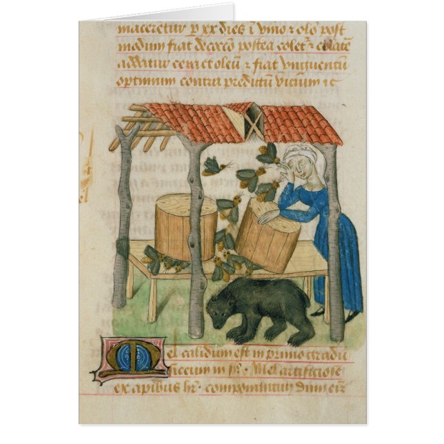 Cartão Tractatus de Herbis' (Frente)