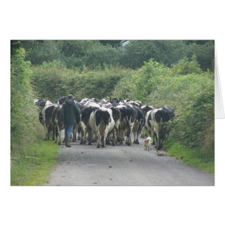 Cartão Tráfego emperrado!