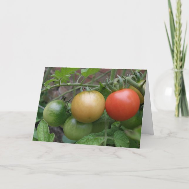 Cartão Traffic Light Tomatoes Greeting Card (Frente)