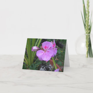 Cartão Traga a Chuva - Notecard