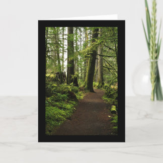 Cartão Trail Amongst Giants