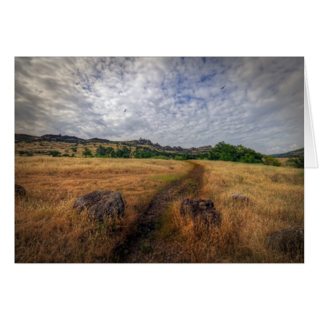 Cartão Trailhead, Upper Bidwell Park, Chico, Ca (Frente Horizontal)