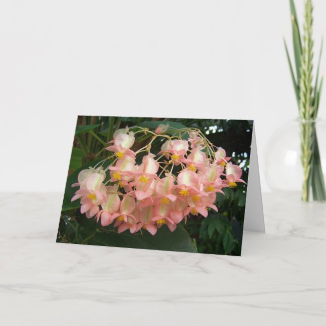 Cartão Trailing Begonia (Frente)