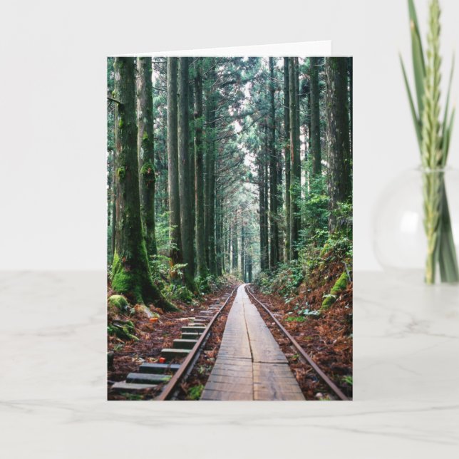 Cartão Train Tracks in the Forest (Frente)