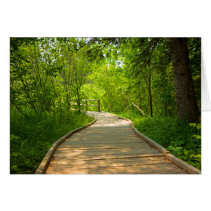 Cartão Trajeto Árvore-Alinhado