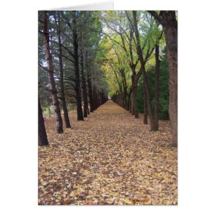 Cartão Trajeto de Colorado