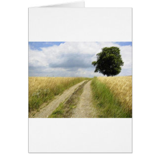 CARTÃO TRANQUILIDADE