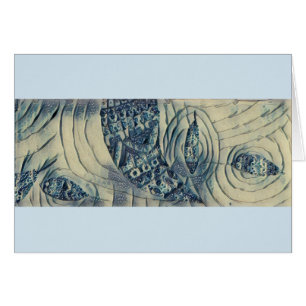 Cartão Tranquilidade