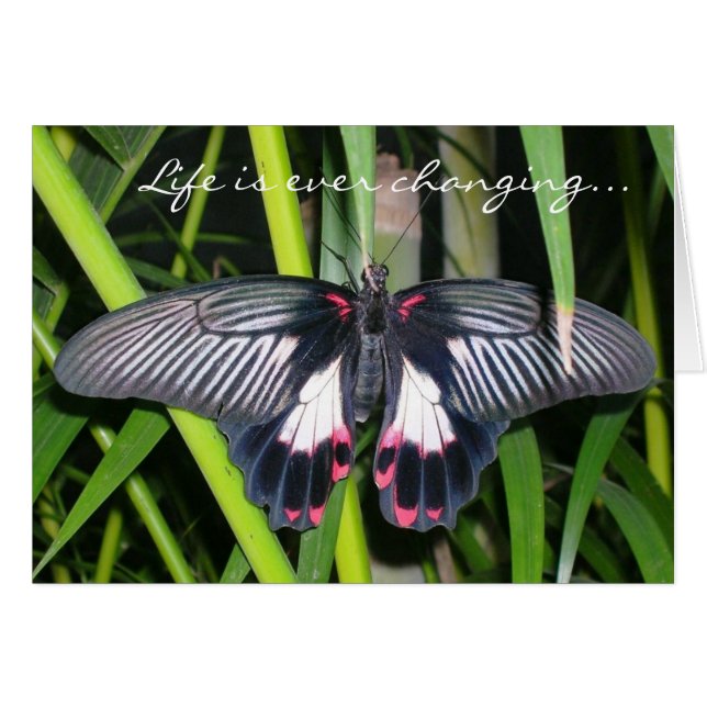 Cartão Transição, mudança de vida (Frente Horizontal)